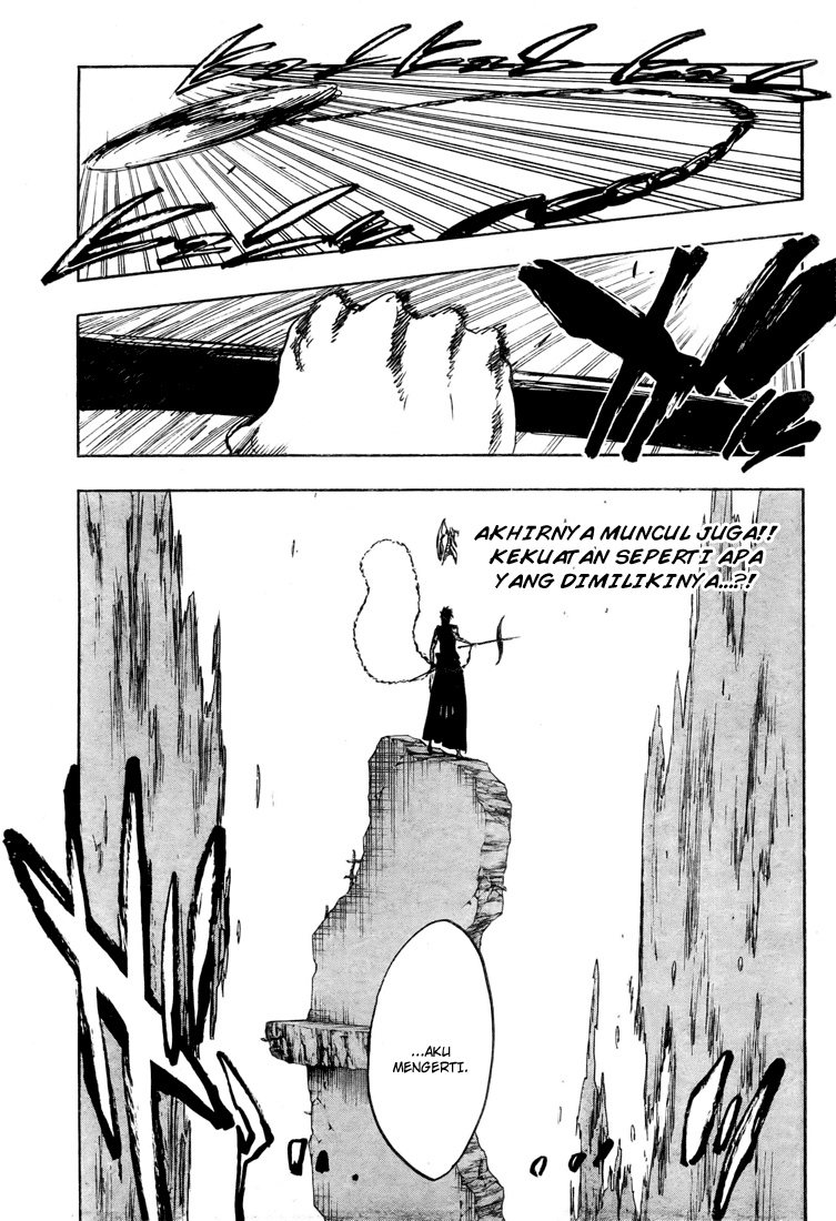 Bleach Chapter 325