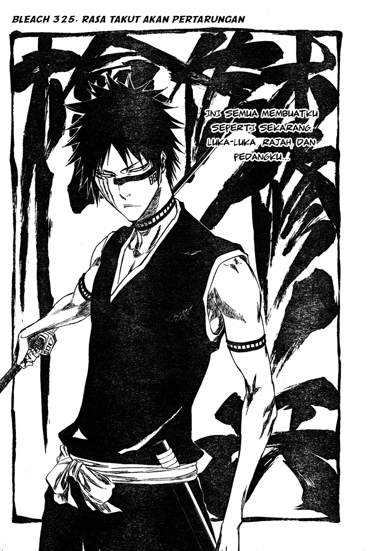 Bleach Chapter 325