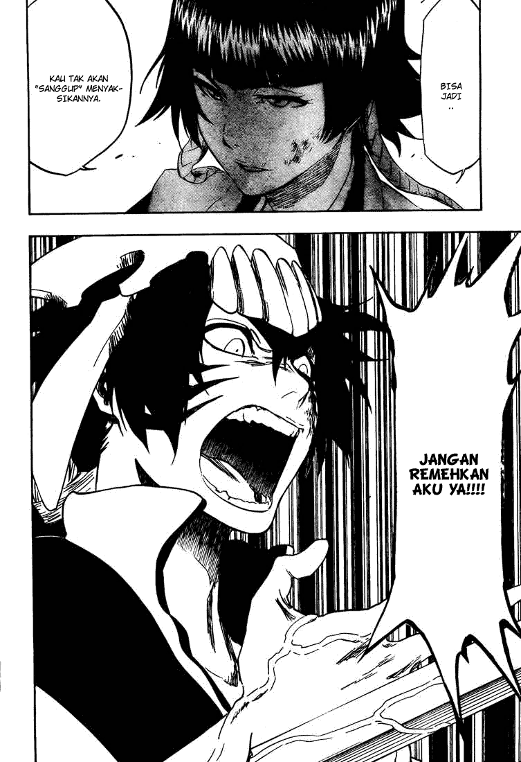 Bleach Chapter 333