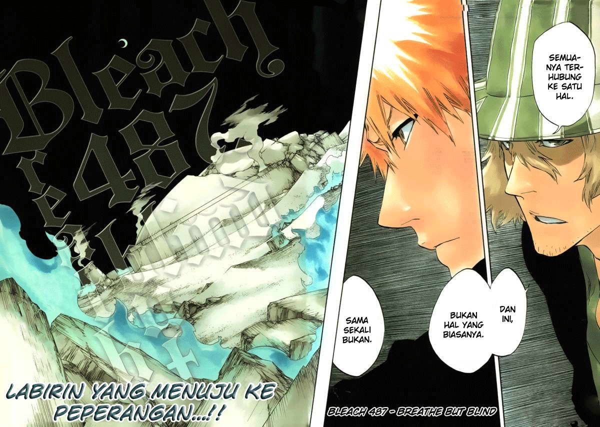 Bleach Chapter 487