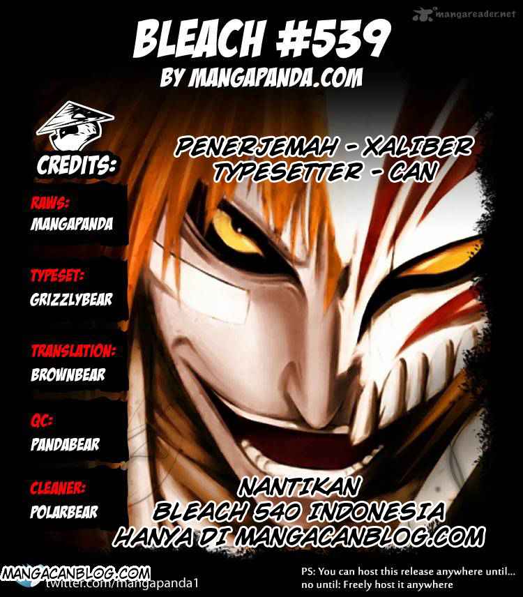 Bleach Chapter 539