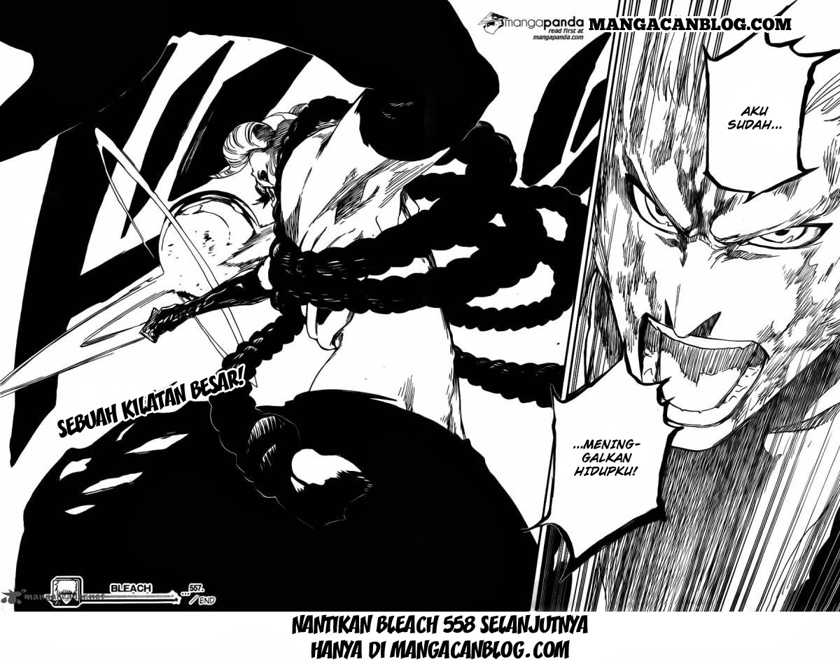 Bleach Chapter 557