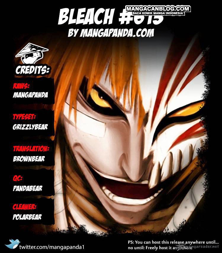 Bleach Chapter 613