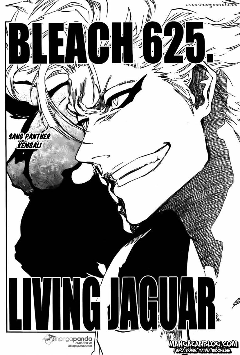 Bleach Chapter 625