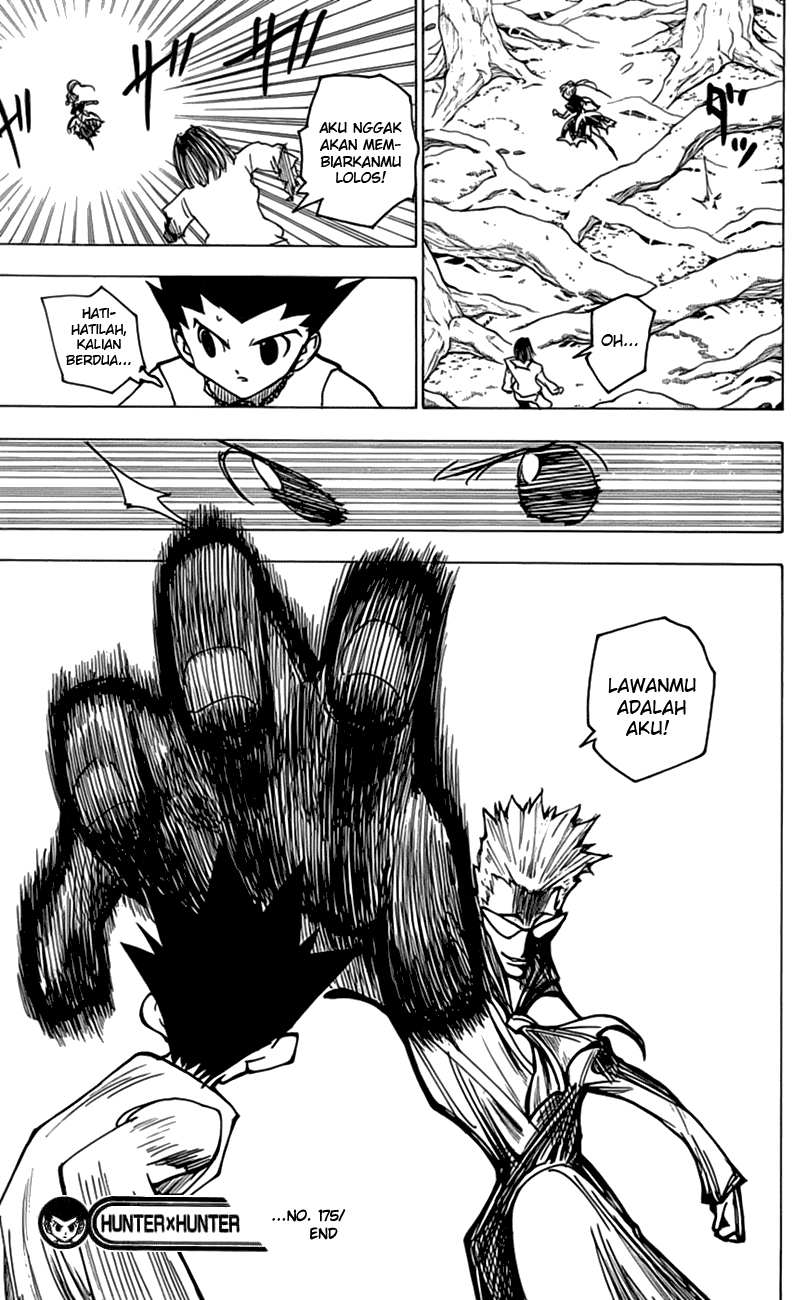 Hunter x Hunter Chapter 175