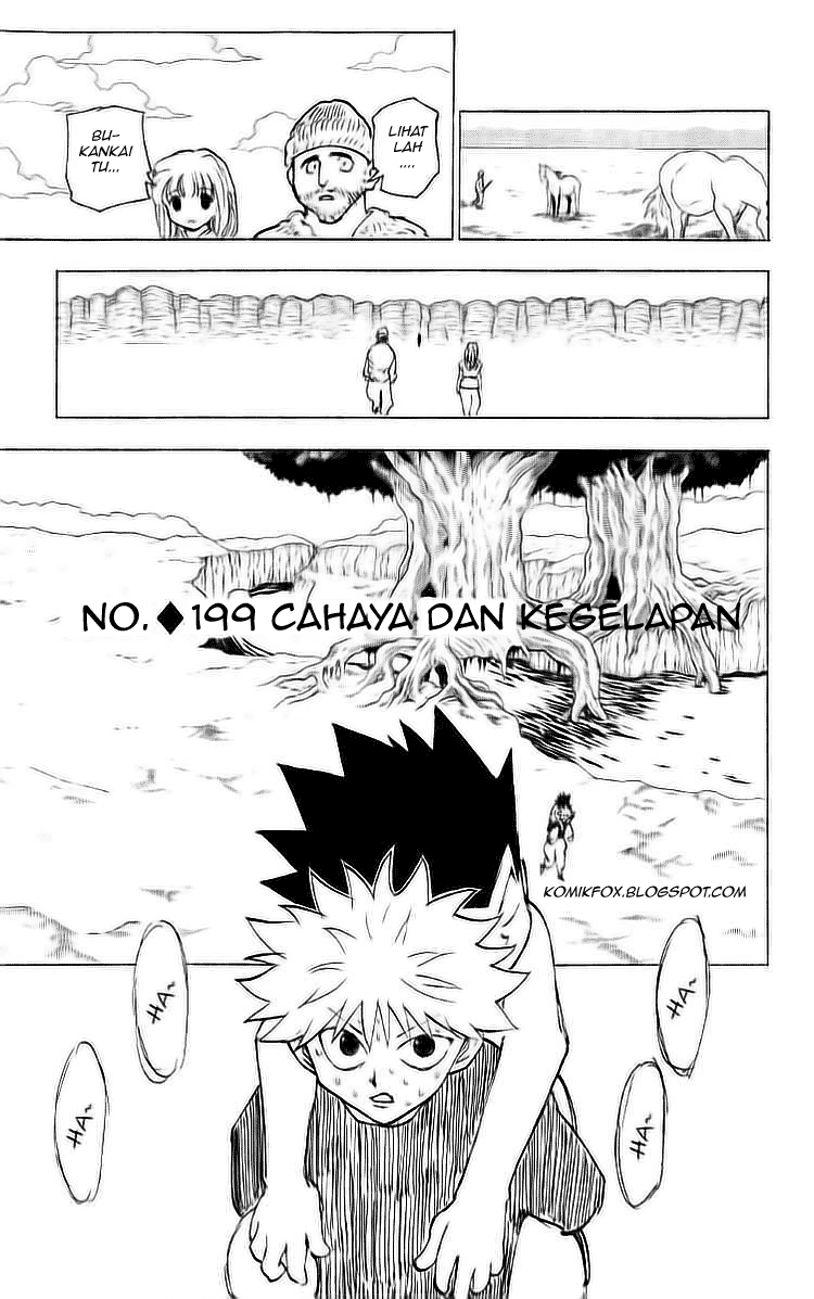 Hunter x Hunter Chapter 199