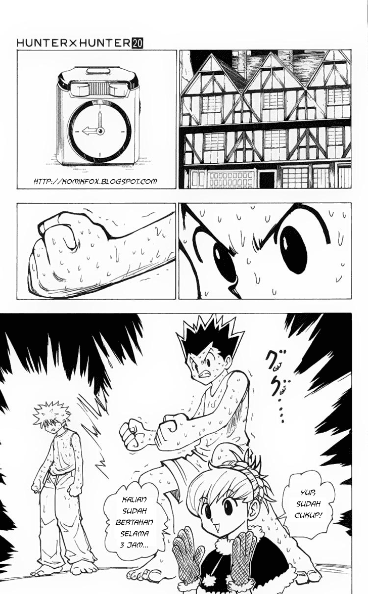 Hunter x Hunter Chapter 202