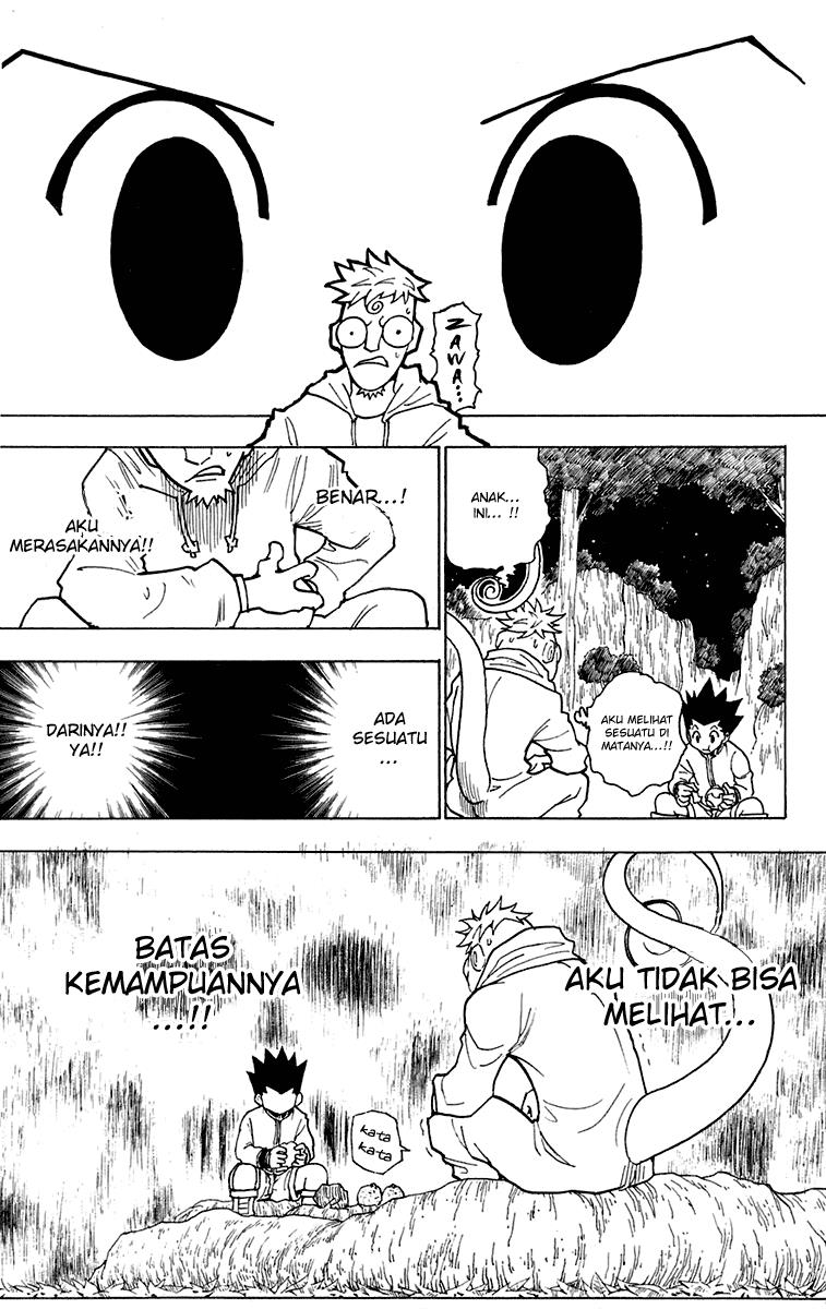 Hunter x Hunter Chapter 242