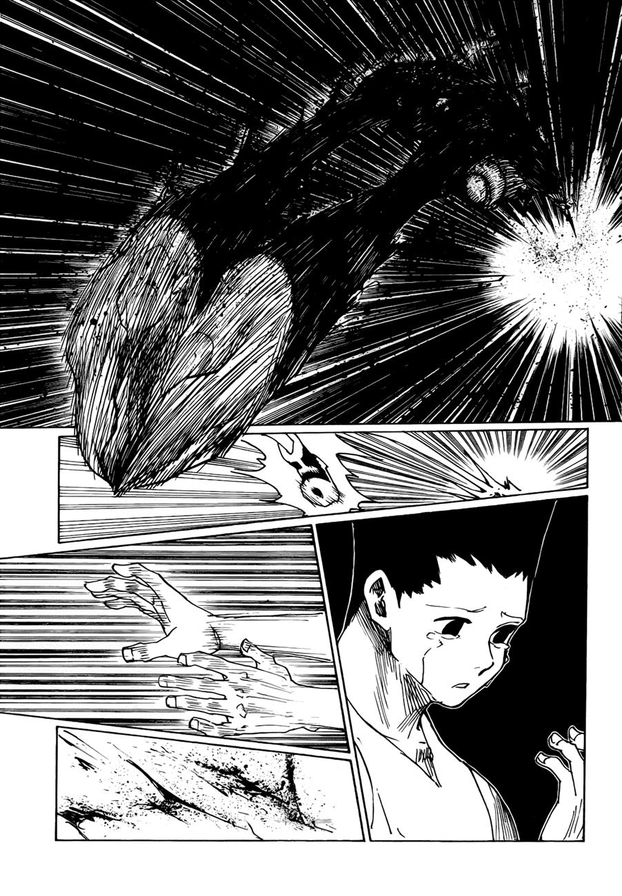 Hunter x Hunter Chapter 307