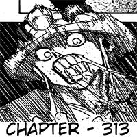 Hunter x Hunter Chapter 313