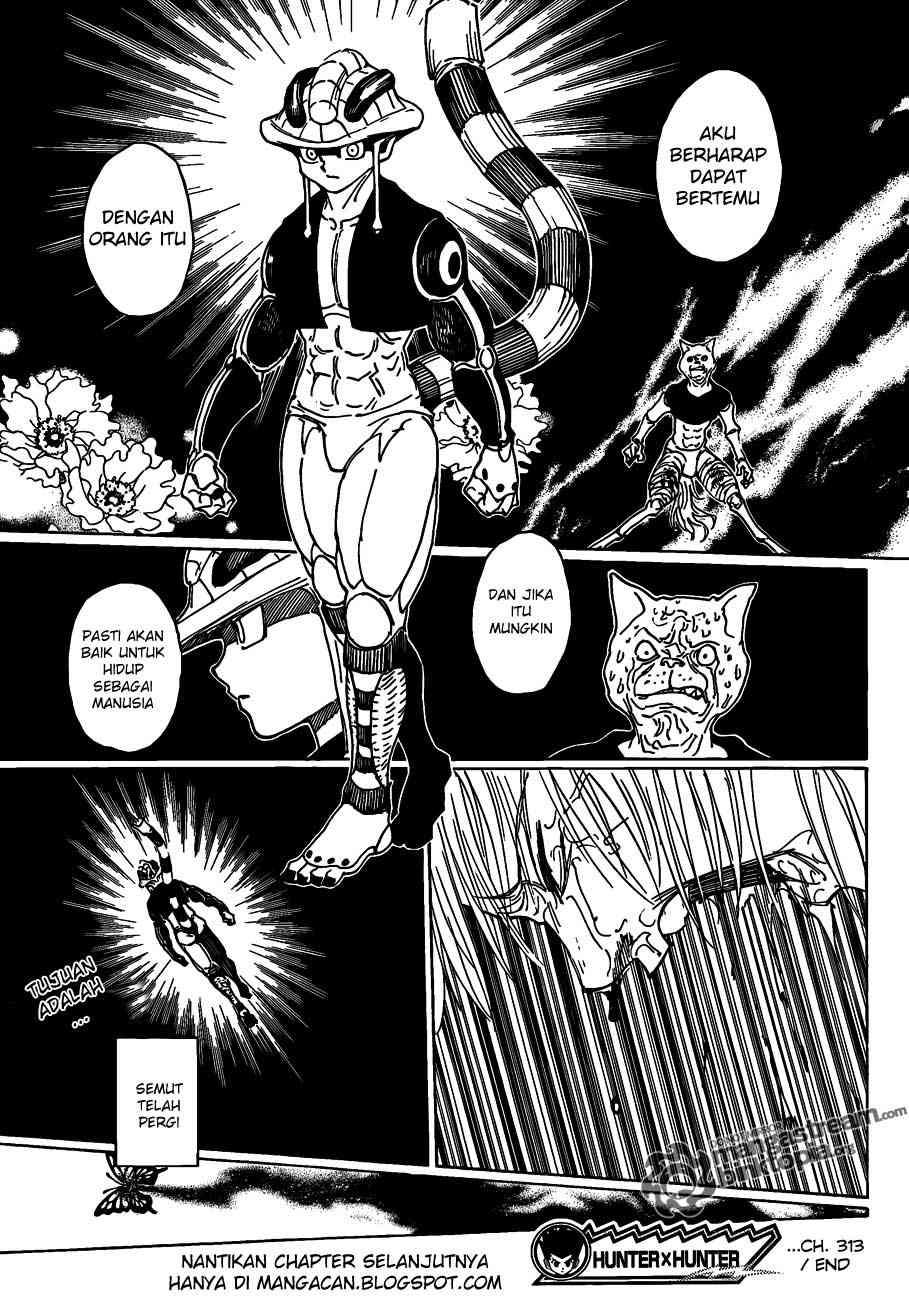 Hunter x Hunter Chapter 313