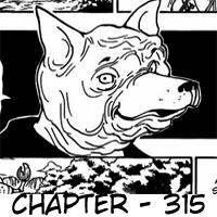 Hunter x Hunter Chapter 315