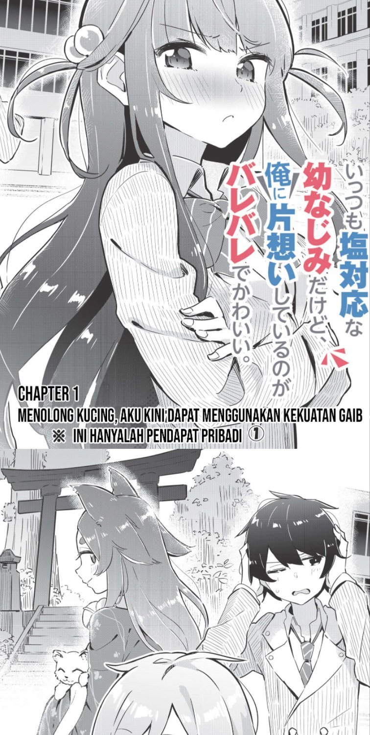 Ittsumo Shiotaiou na Osananajimi Dakedo, Ore ni Kataomoi Shiteiru no ga Barebare de Kawaīi Chapter 1