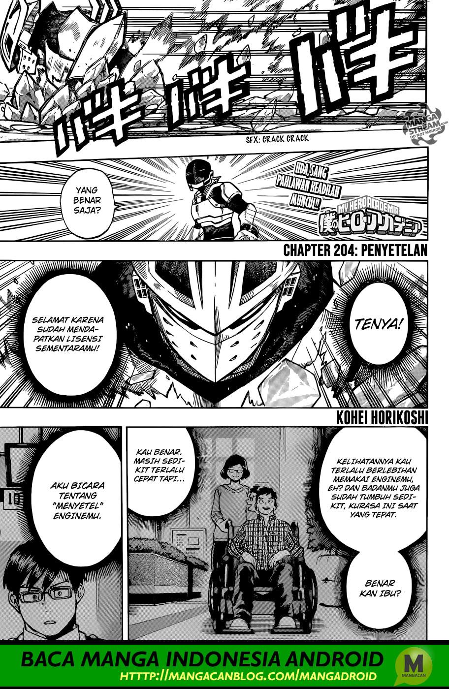 Boku no Hero Academia Chapter 204