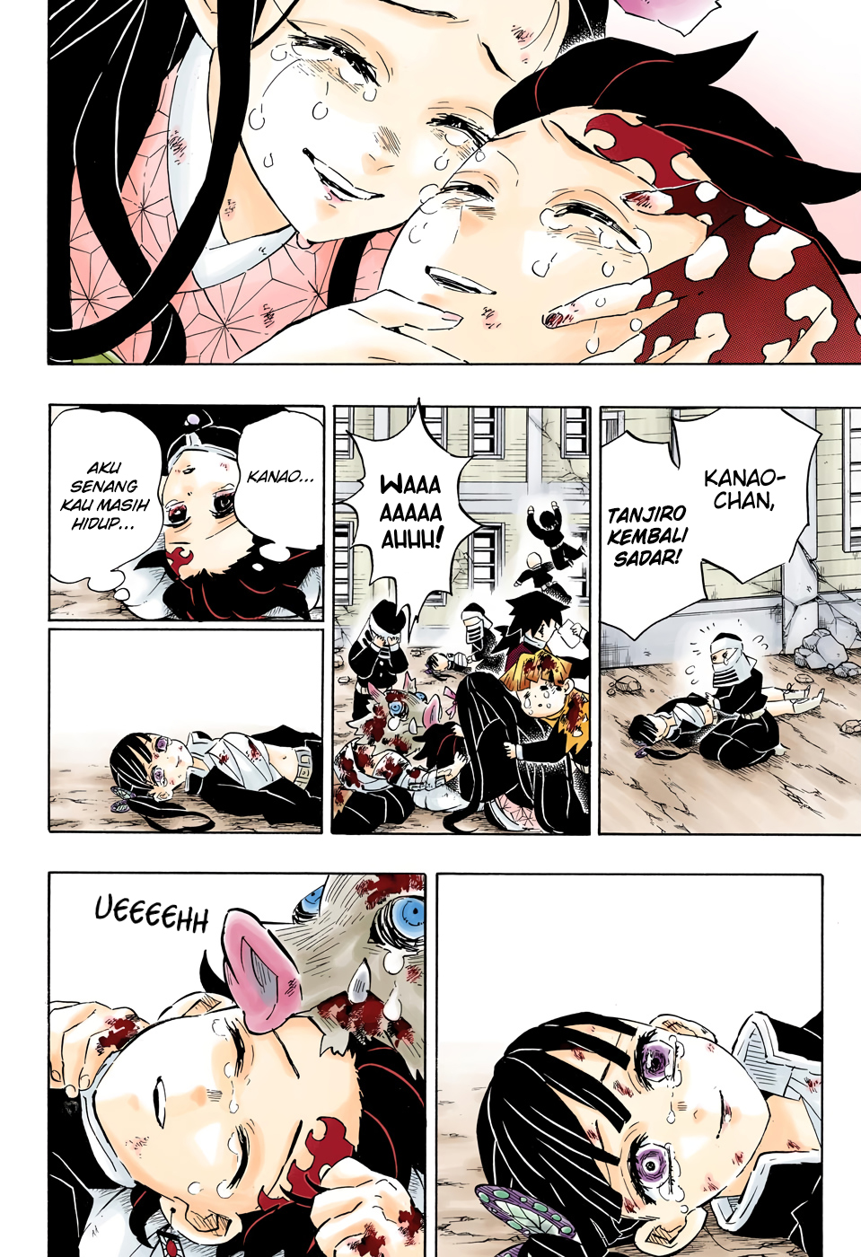 Kimetsu no Yaiba Chapter 204