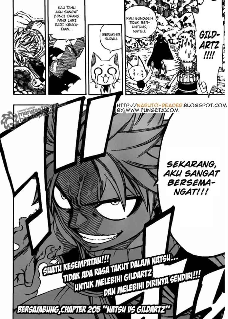 Fairy Tail Chapter 204