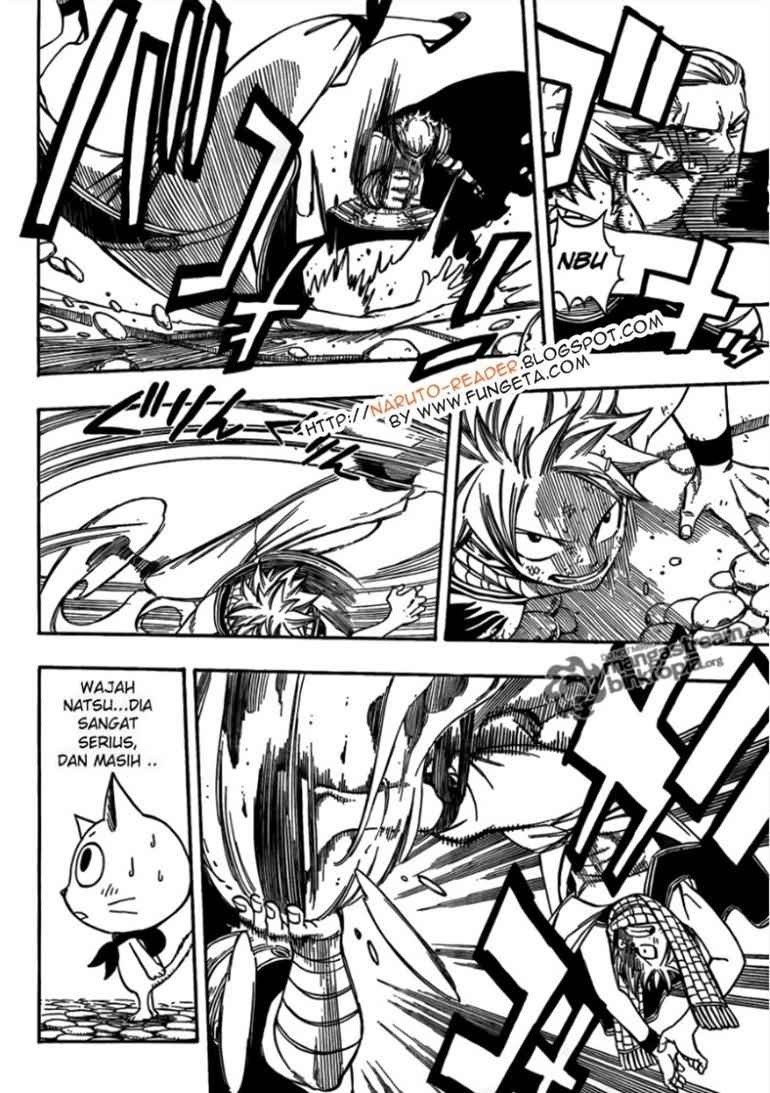 Fairy Tail Chapter 205