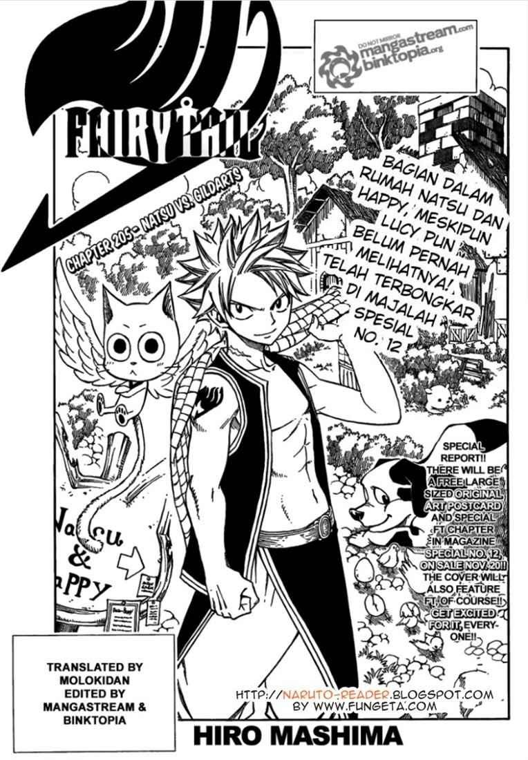 Fairy Tail Chapter 205