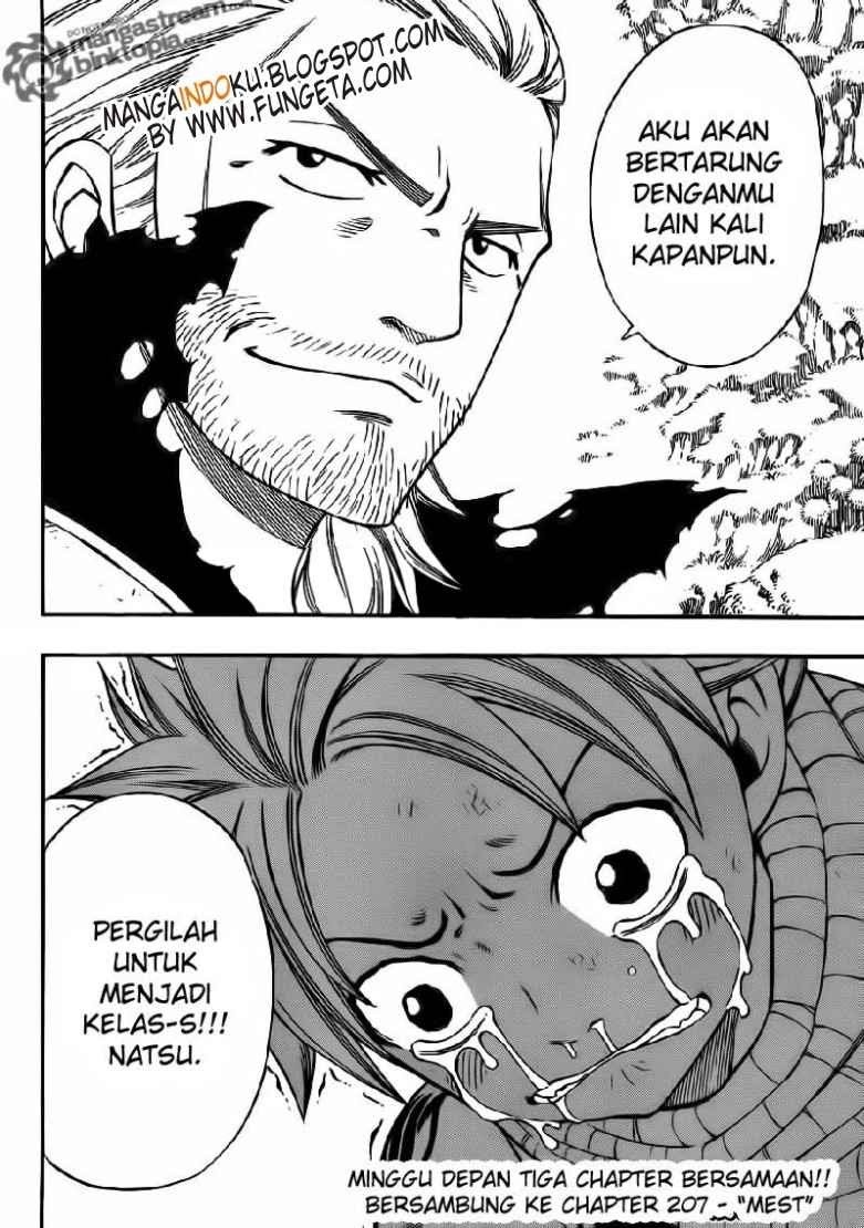 Fairy Tail Chapter 206