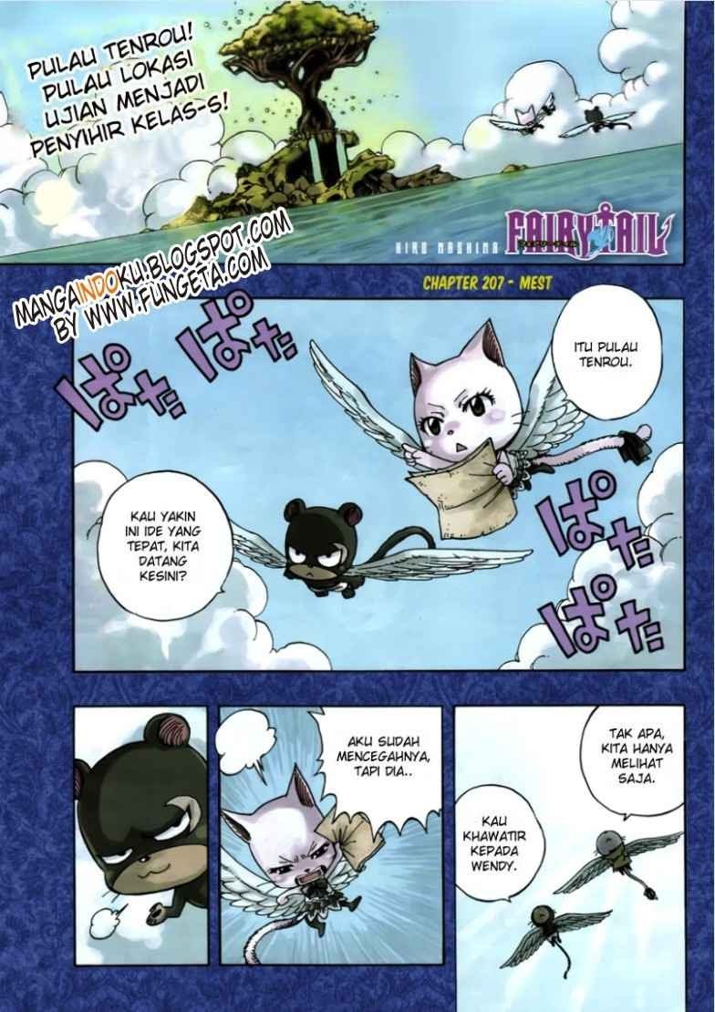 Fairy Tail Chapter 207