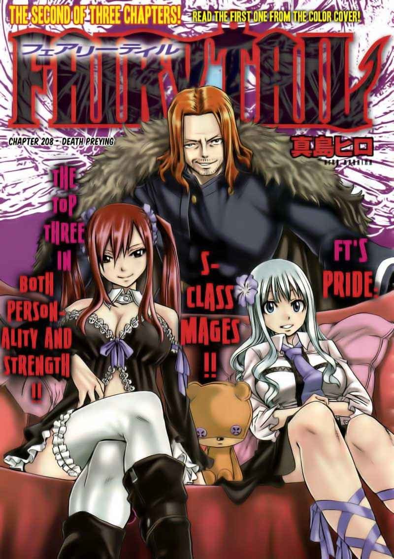 Fairy Tail Chapter 208