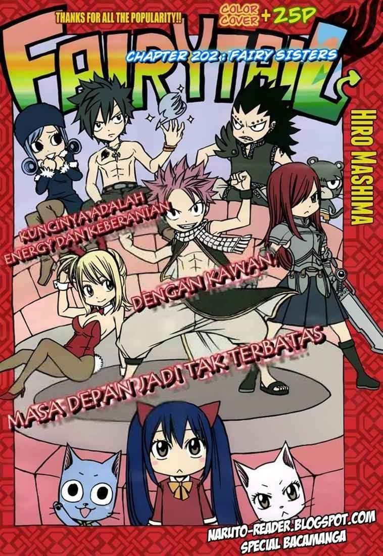 Fairy Tail Chapter 220