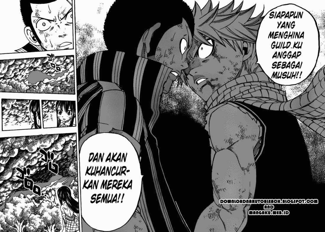 Fairy Tail Chapter 228