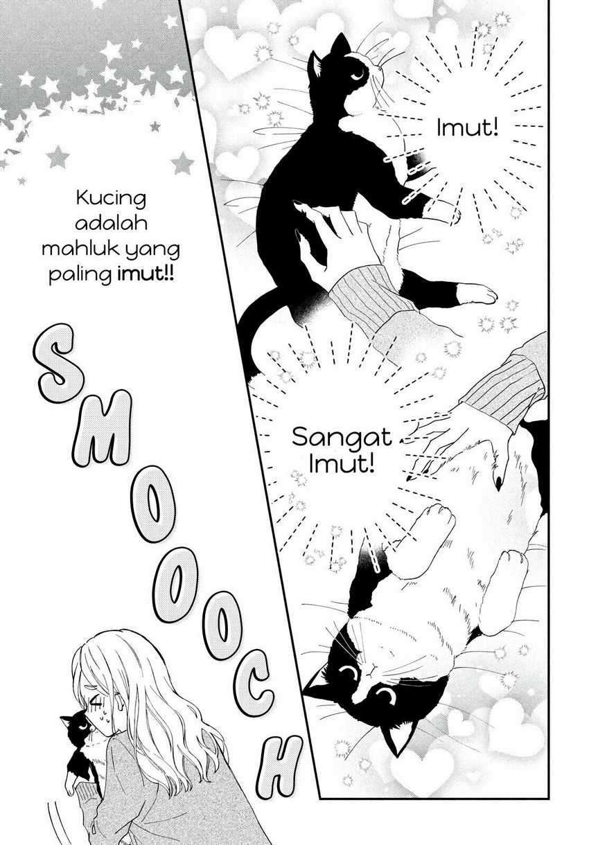 Neko to Kiss Chapter 1