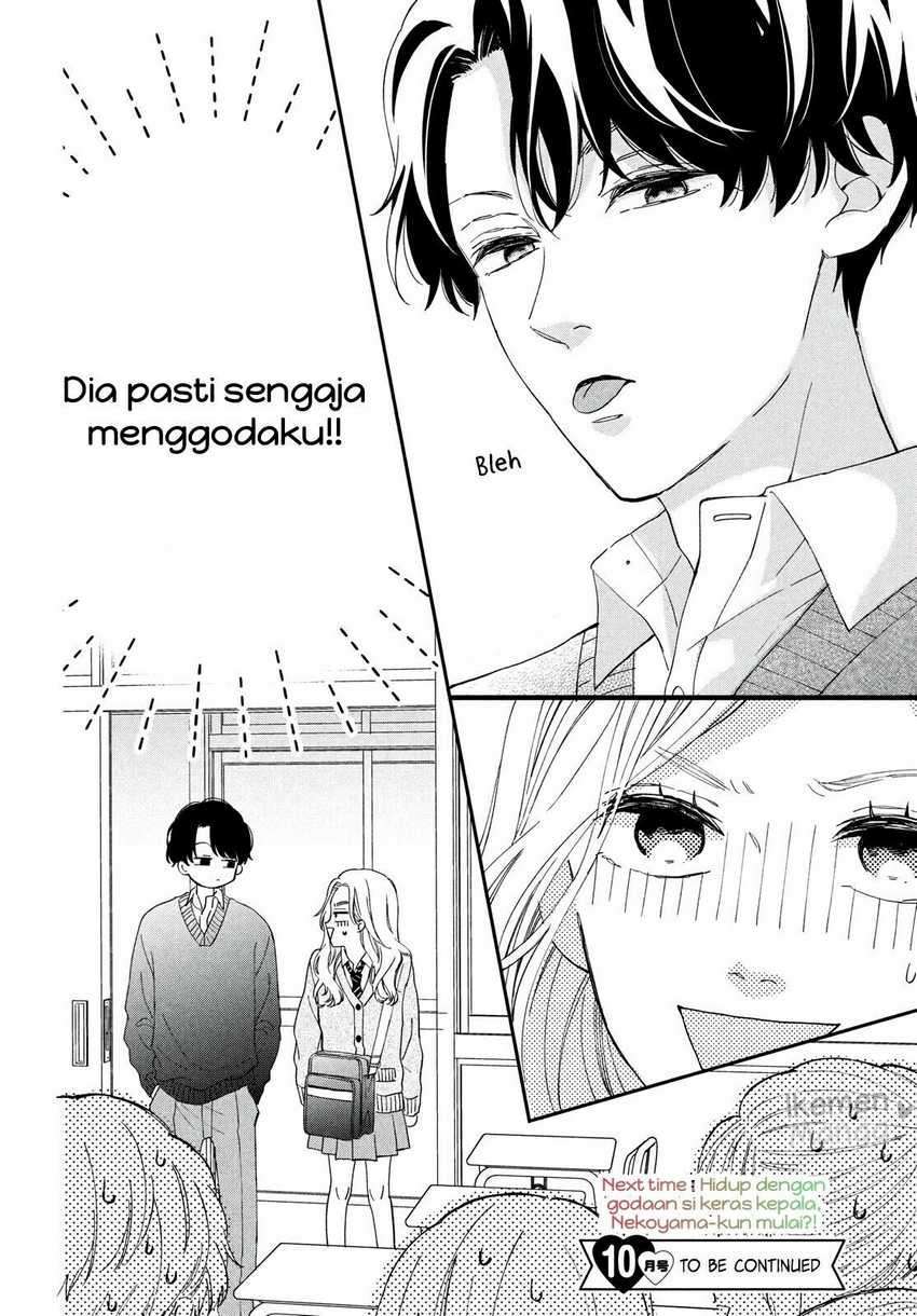 Neko to Kiss Chapter 1