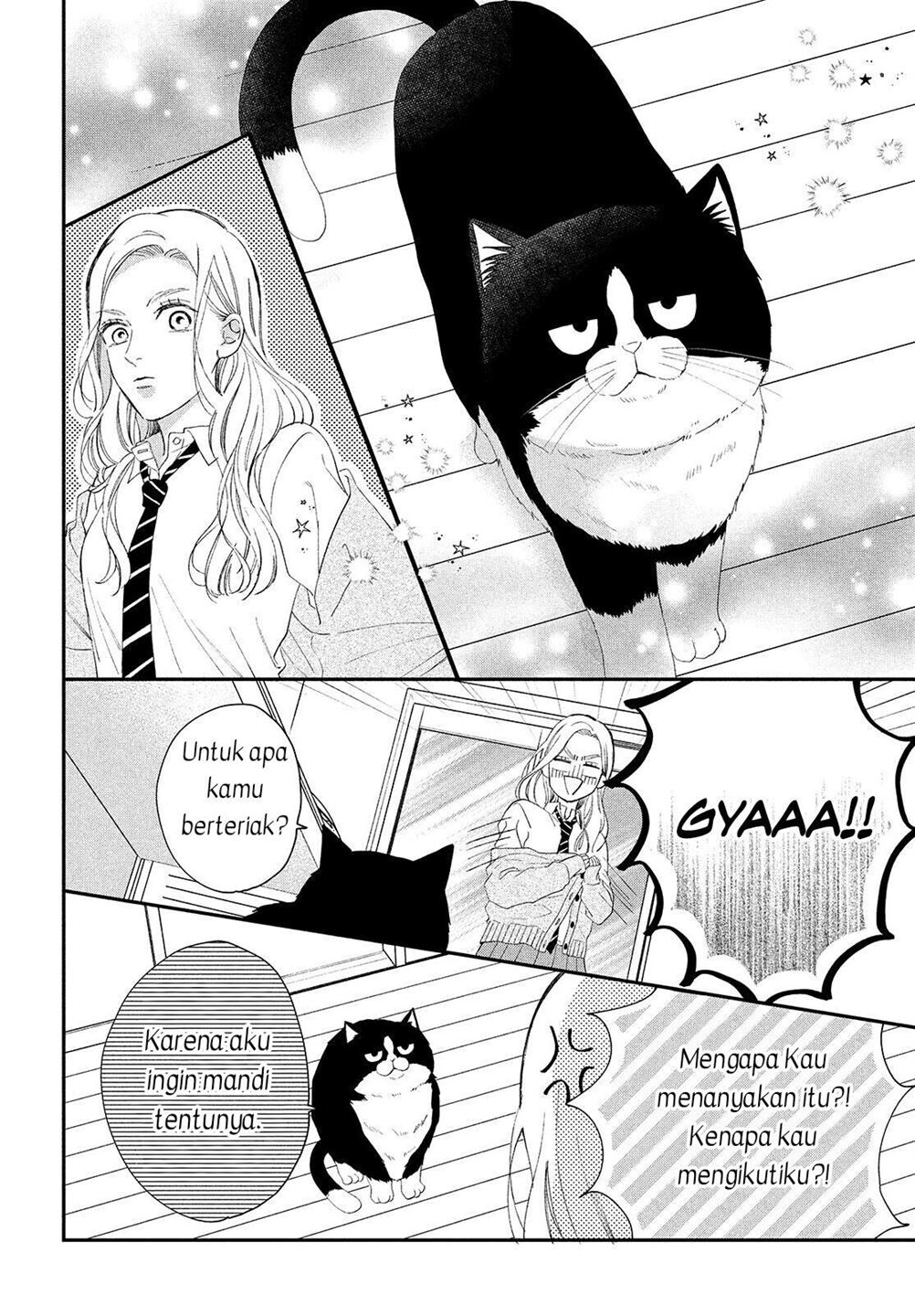 Neko to Kiss Chapter 3