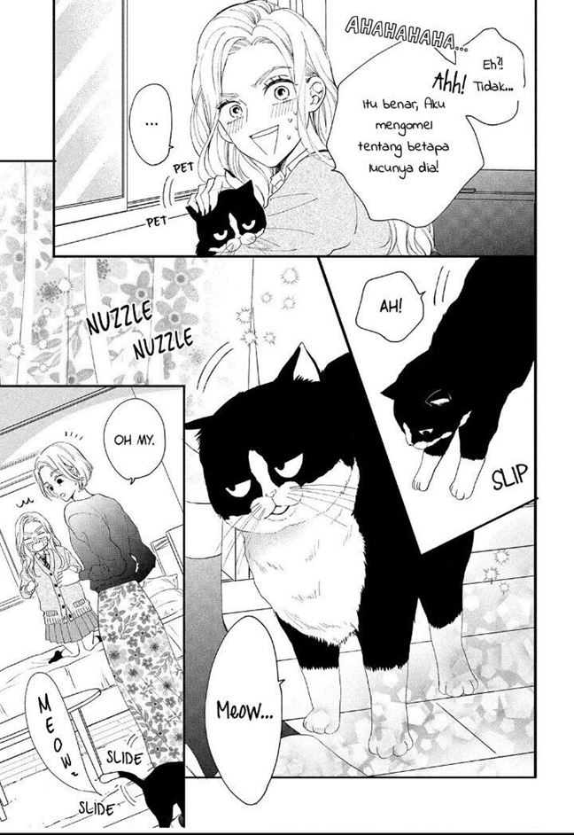 Neko to Kiss Chapter 3