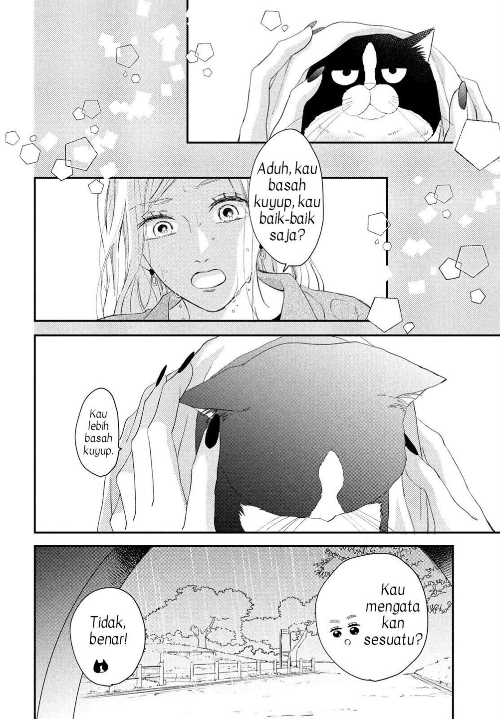 Neko to Kiss Chapter 4