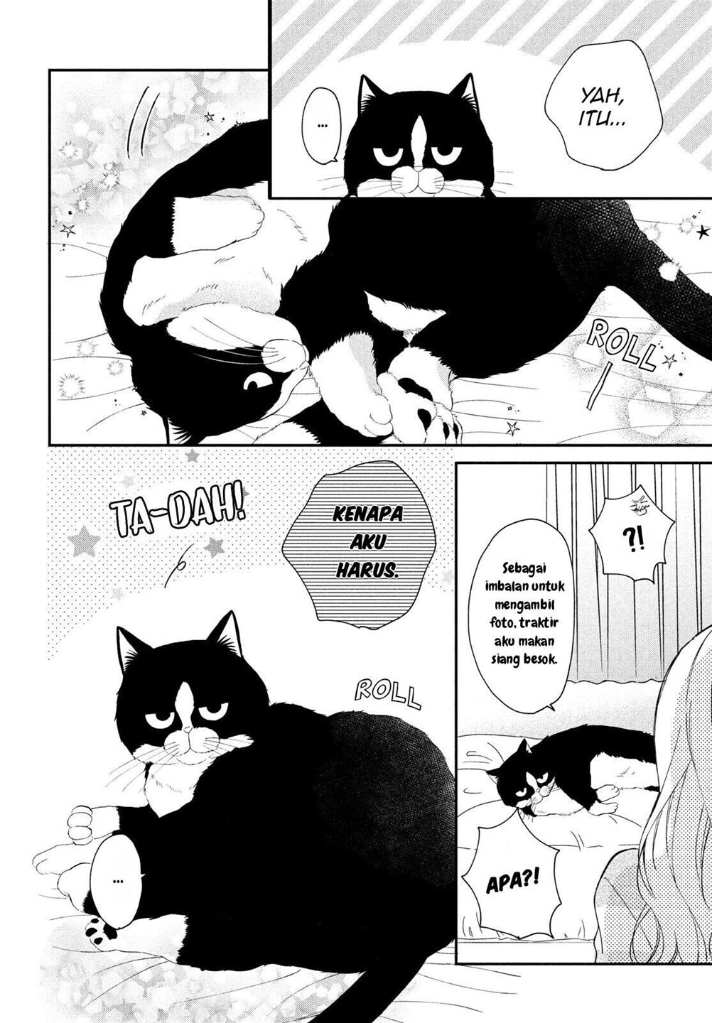 Neko to Kiss Chapter 5