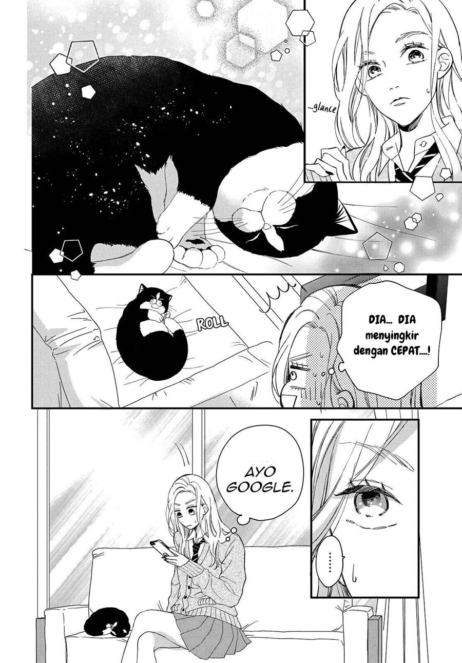 Neko to Kiss Chapter 6