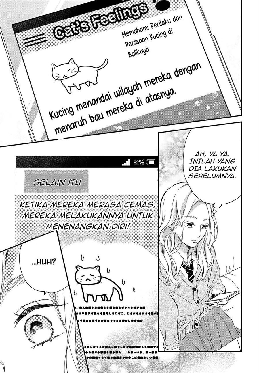 Neko to Kiss Chapter 6