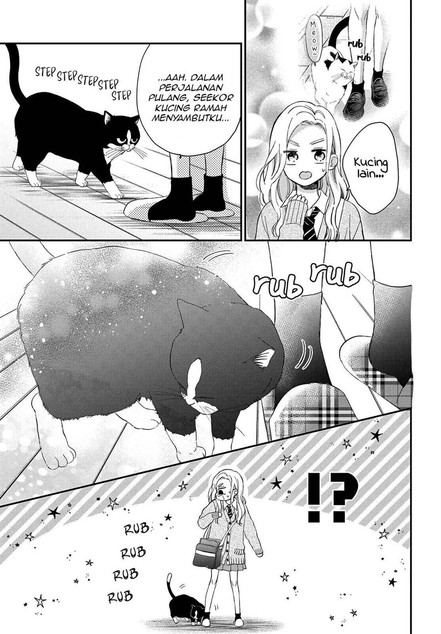 Neko to Kiss Chapter 6