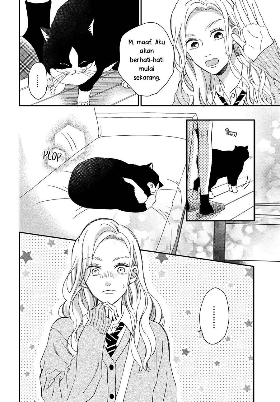 Neko to Kiss Chapter 6