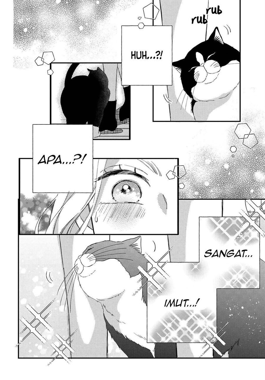 Neko to Kiss Chapter 6