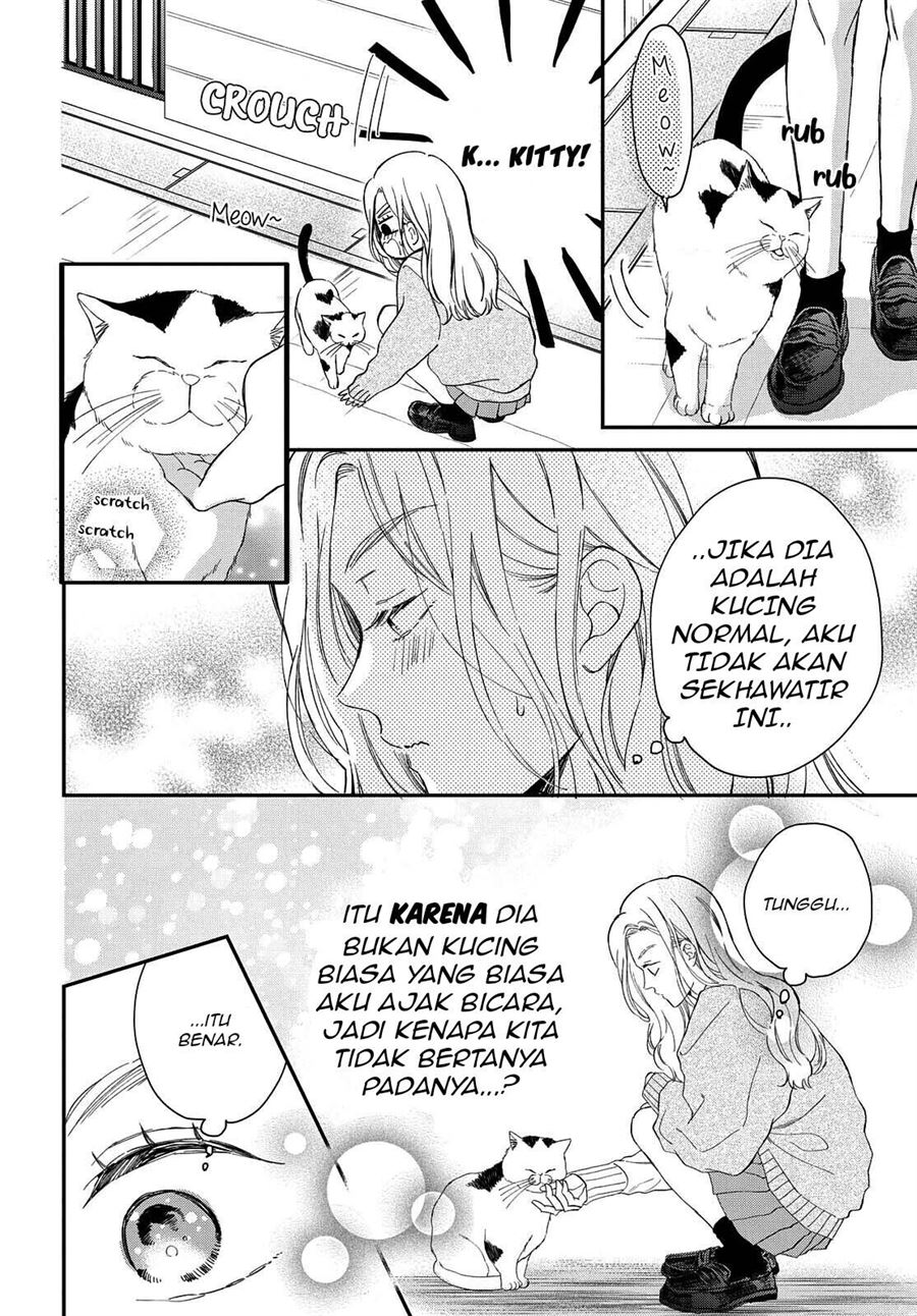 Neko to Kiss Chapter 6