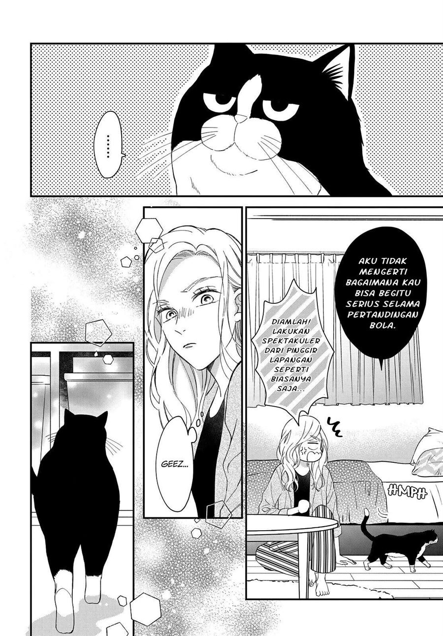 Neko to Kiss Chapter 7