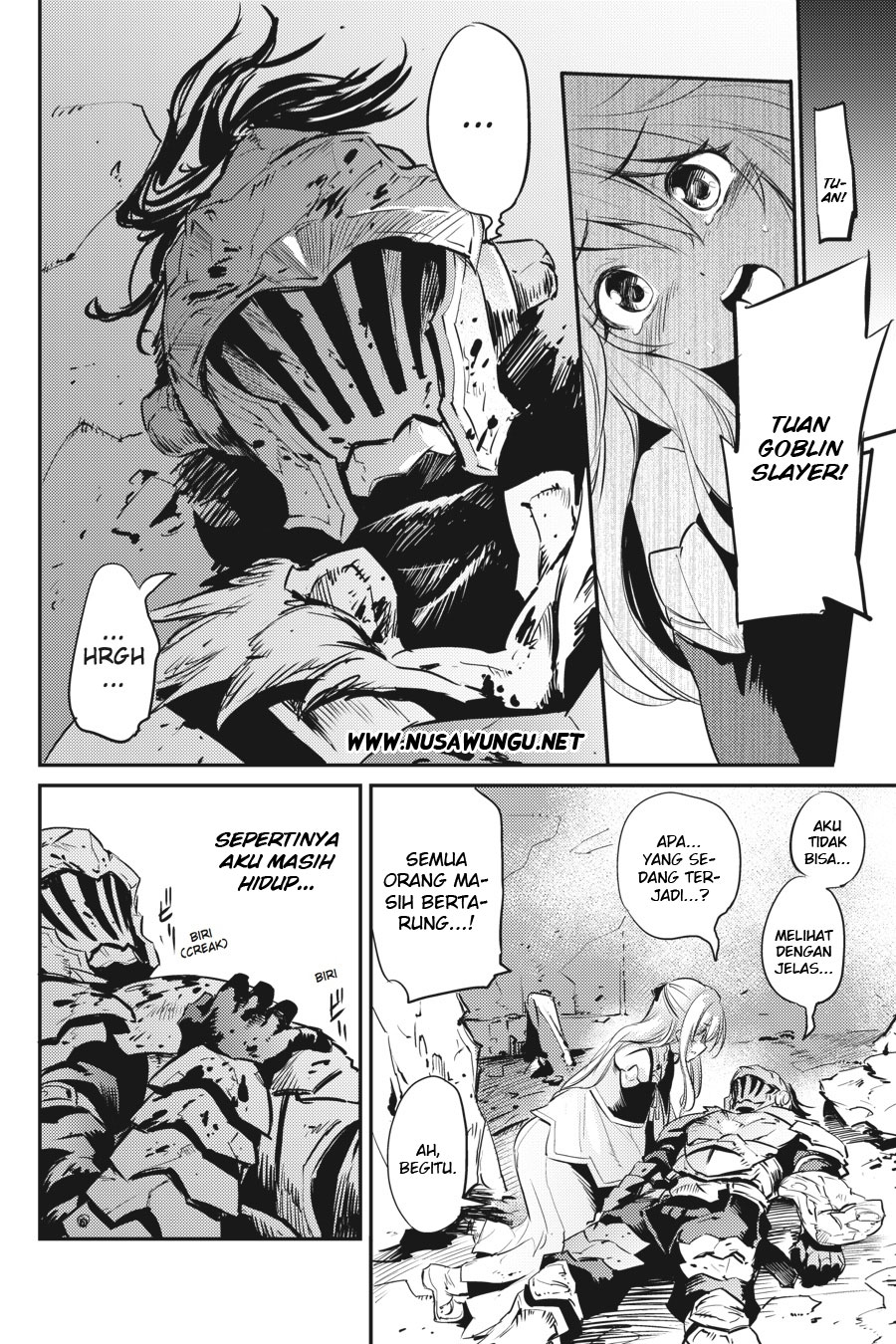 Goblin Slayer Chapter 8