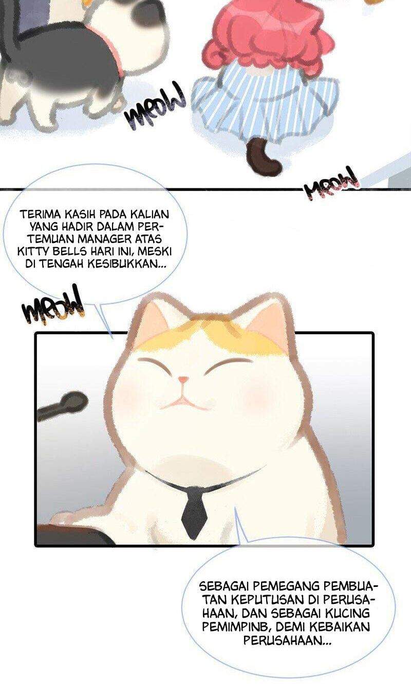 Kitty Bells Chapter 5