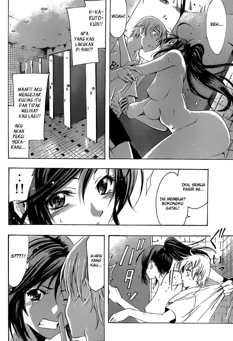 Kimi no Iru Machi Chapter 227