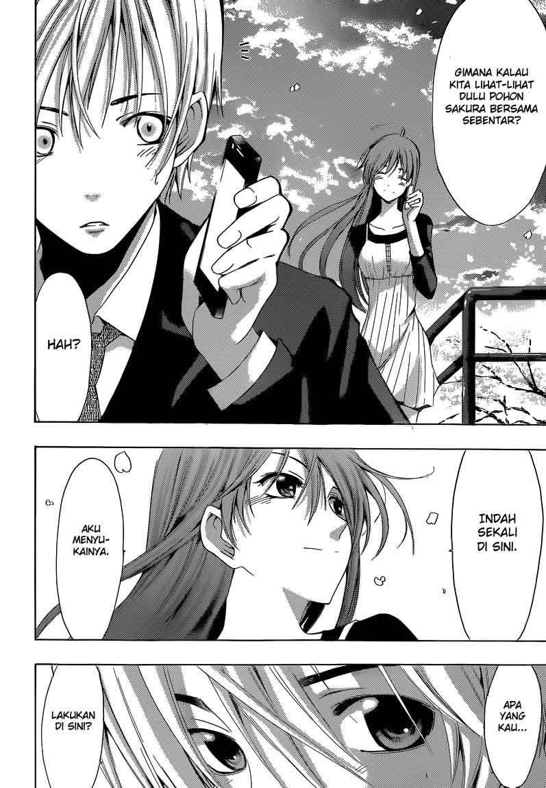 Kimi no Iru Machi Chapter 244