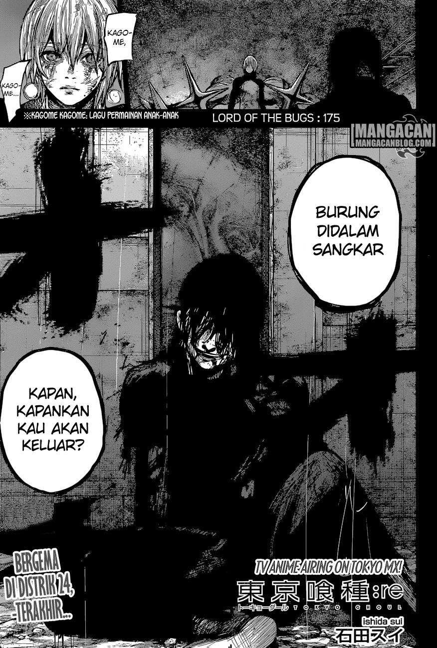 Tokyo Ghoul:re Chapter 175