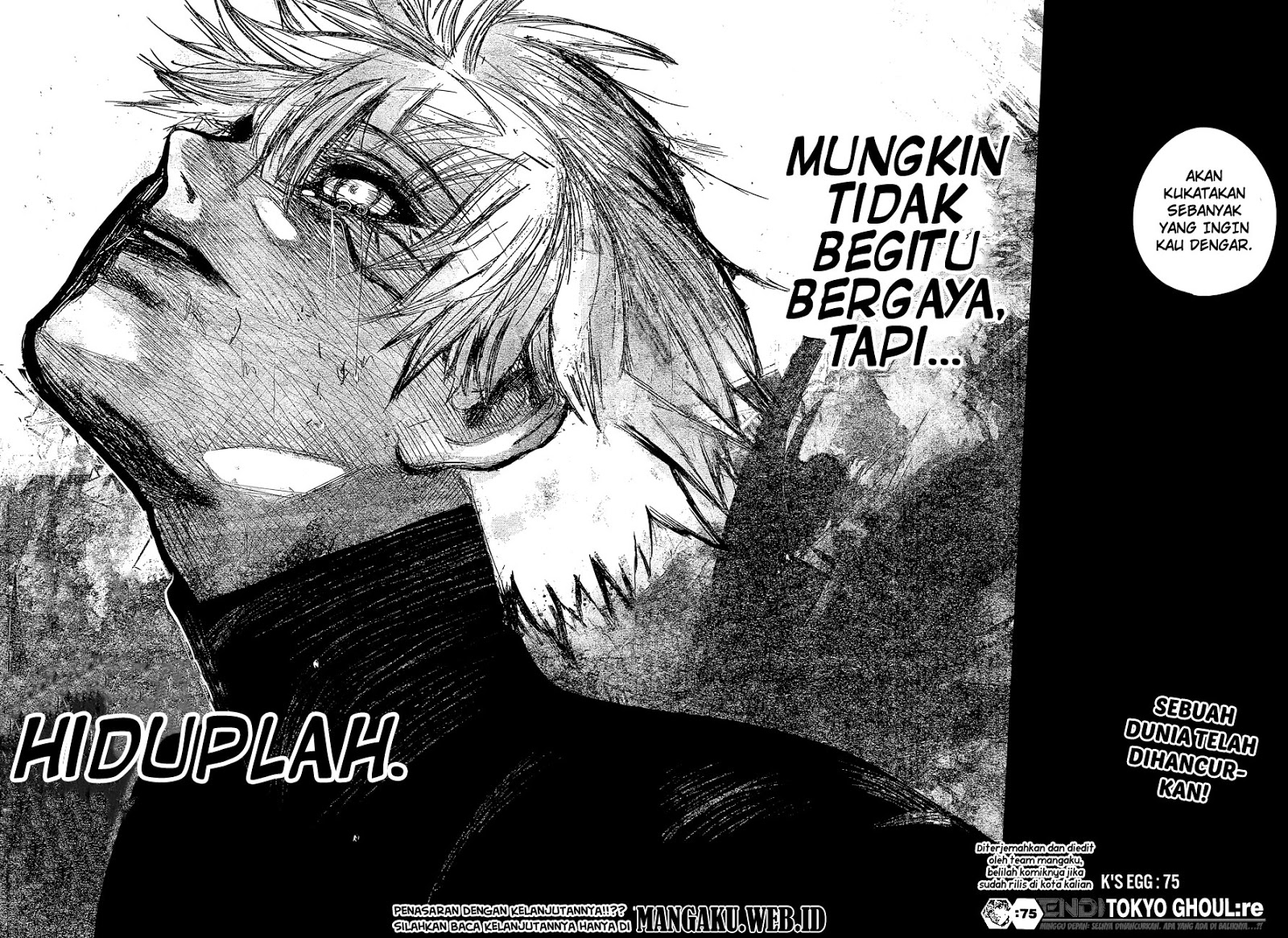 Tokyo Ghoul:re Chapter 75