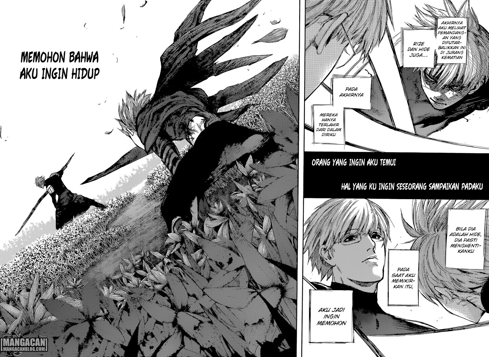 Tokyo Ghoul:re Chapter 76