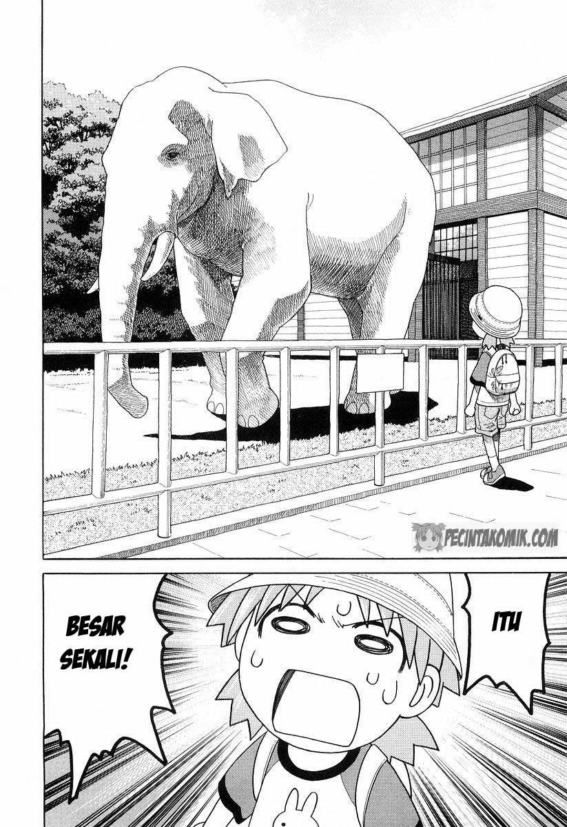 Yotsuba to! Chapter 19