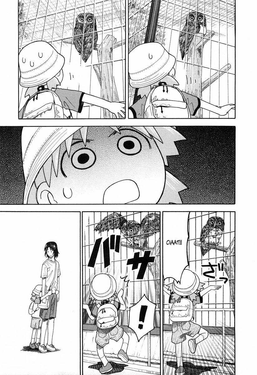 Yotsuba to! Chapter 19