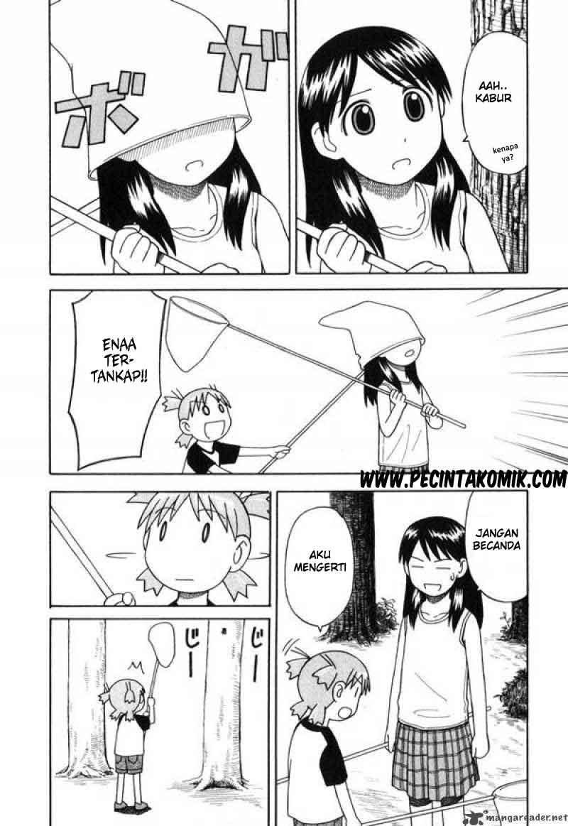 Yotsuba to! Chapter 6